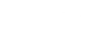 Orquidea Technology