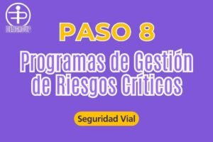 Descripcion del contenido del Blog: Programas de gestion de riesgos criticos paso 8